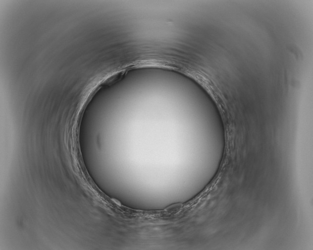 X0000110960289200906261347