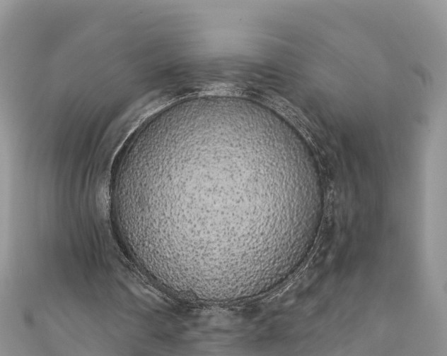 X0000110960290200906261347