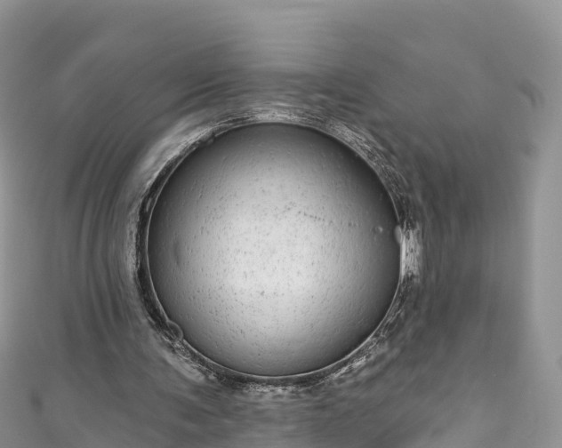 X0000110960291200906261347