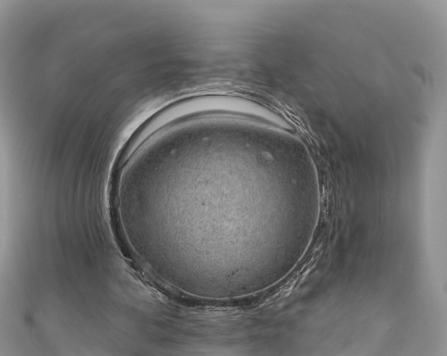 X0000110960292200906261347