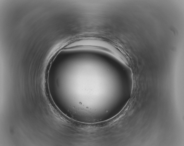 X0000110960293200906261347