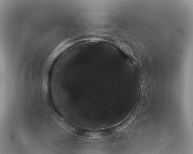 X0000110960295200906261347