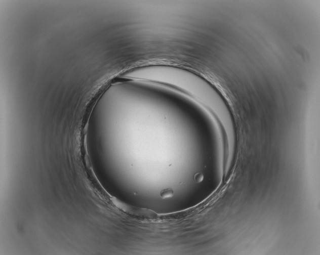 X0000110960297200906261347