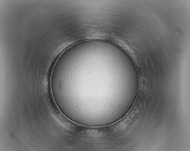 X0000110960298200906261347