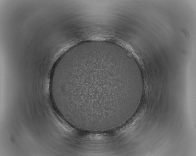 X0000110960299200906261347