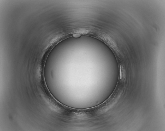 X0000110960300200906261347