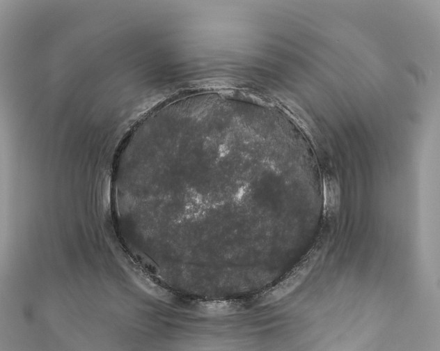 X0000110960301200906261347