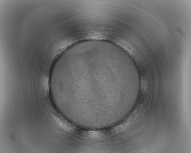 X0000110960302200906261347