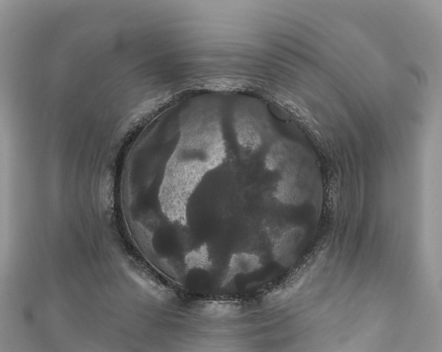 X0000110960303200906261347