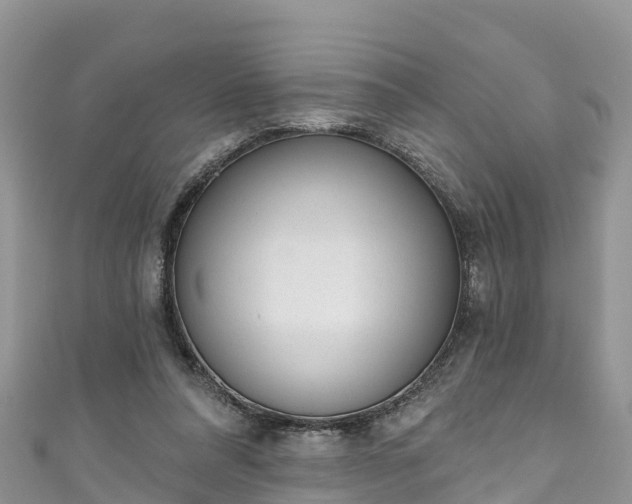 X0000110960304200906261347