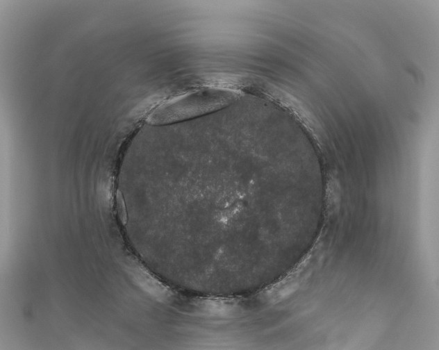 X0000110960305200906261347