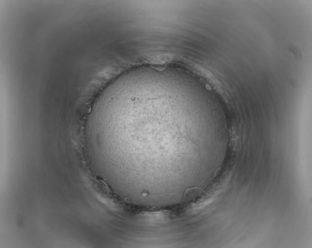 X0000110960307200906261347