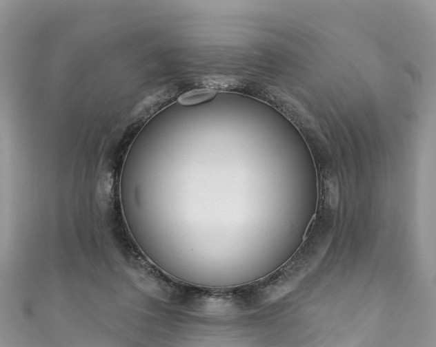 X0000110960308200906261347