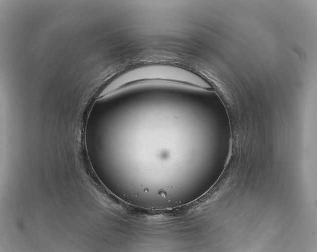 X0000110960309200906261347