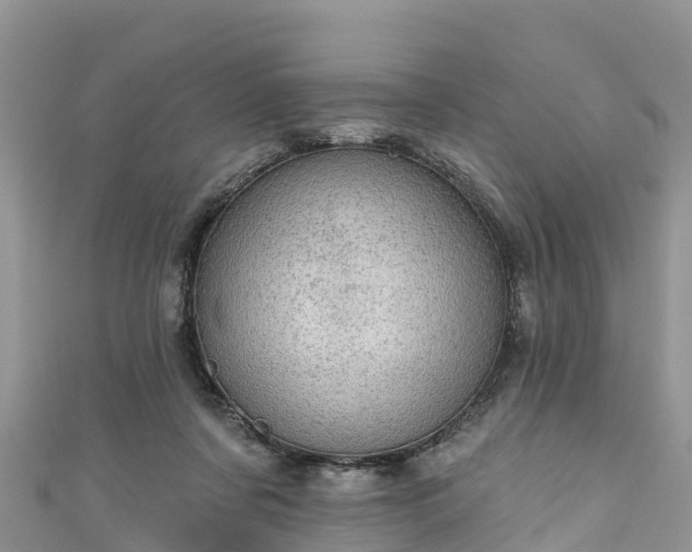 X0000110960311200906261347