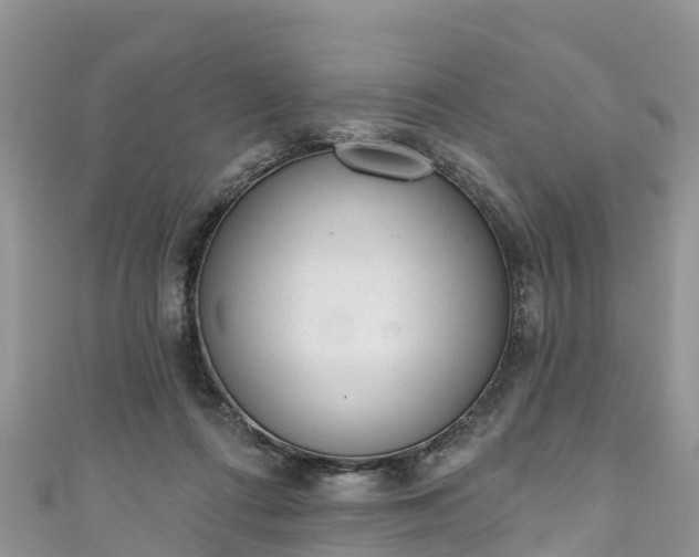 X0000110960312200906261347