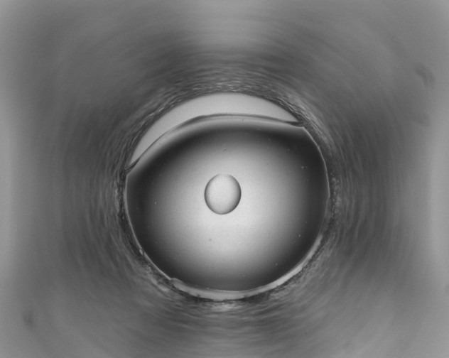 X0000110960313200906261347