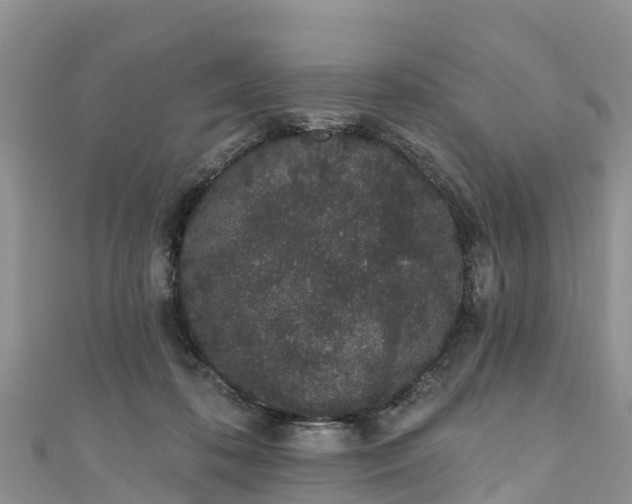 X0000110960316200906261347