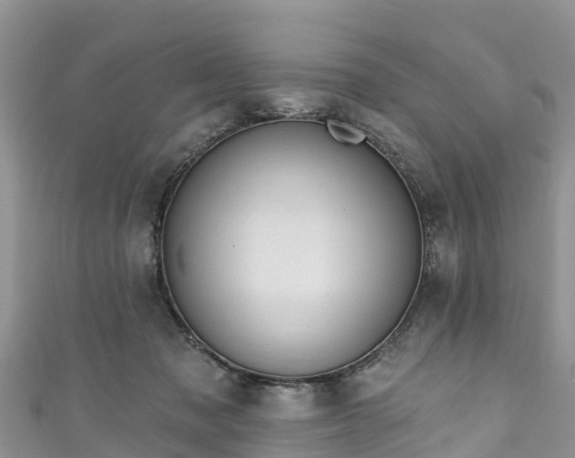 X0000110960317200906261347