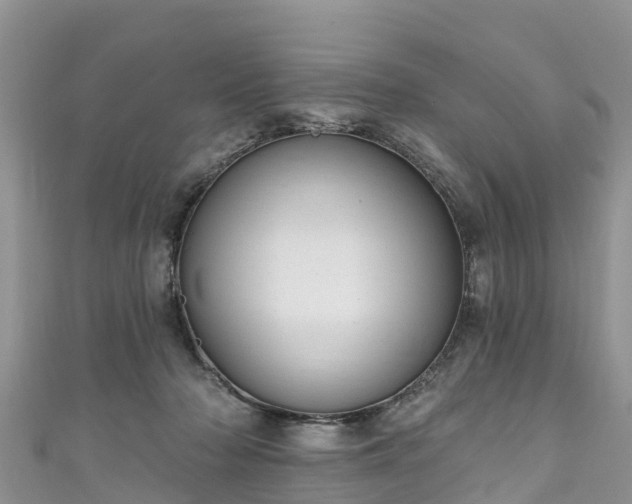 X0000110960318200906261347