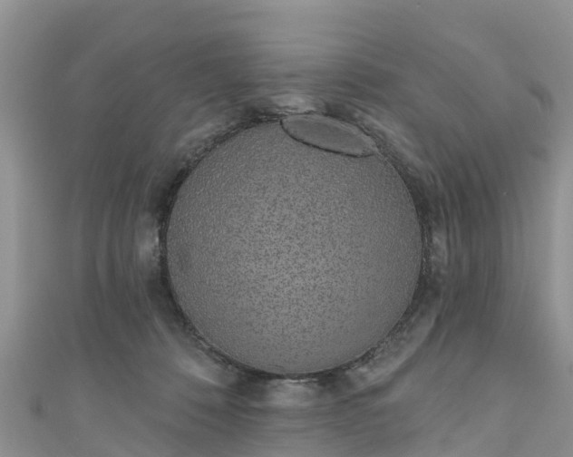 X0000110960320200906261347