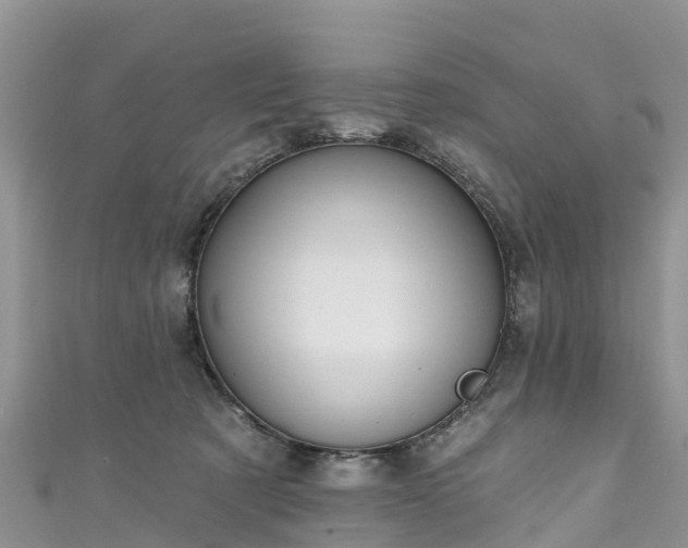 X0000110960321200906261347