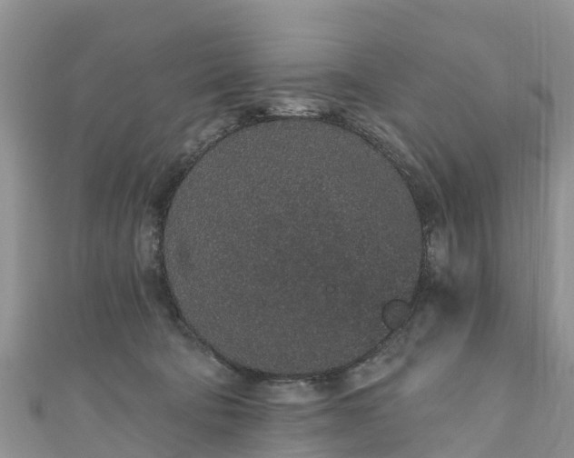 X0000110960322200906261347