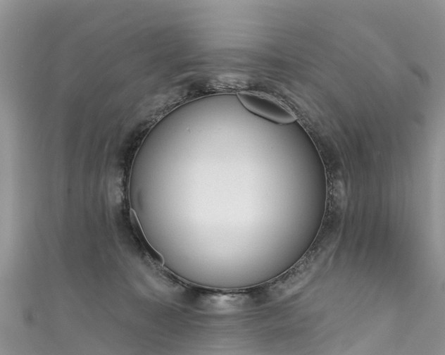 X0000110960323200906261347