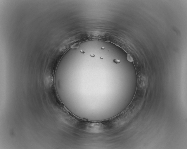 X0000110960324200906261347