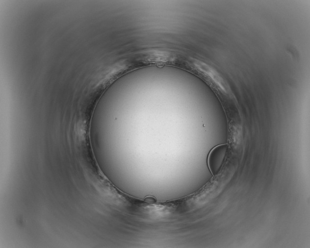 X0000110960326200906261347