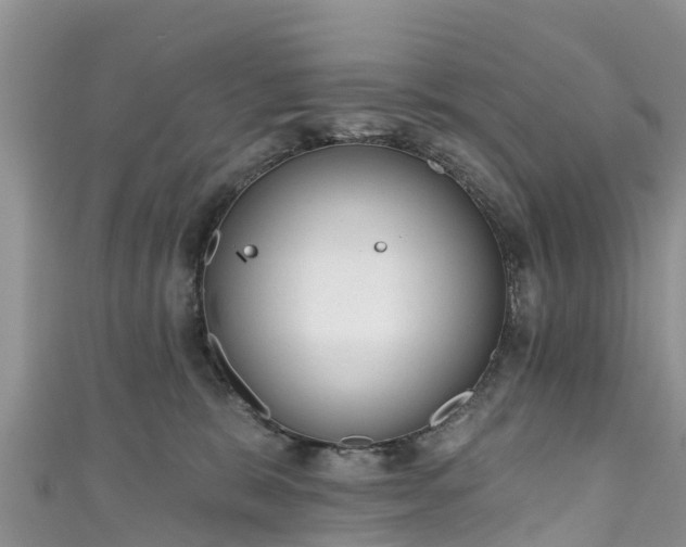 X0000110960327200906261347