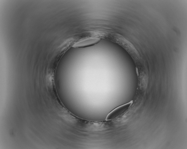 X0000110960329200906261347