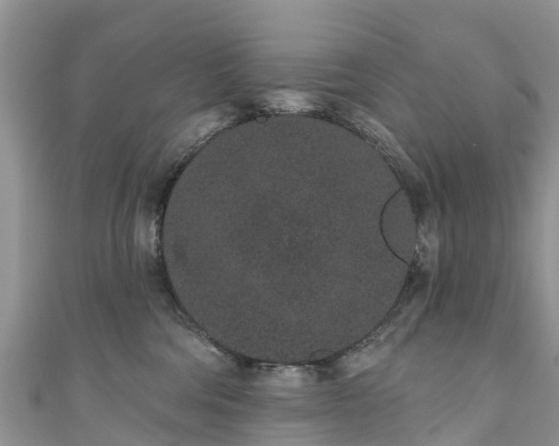 X0000110960330200906261347