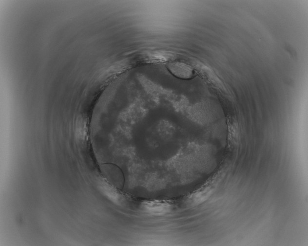 X0000110960331200906261347