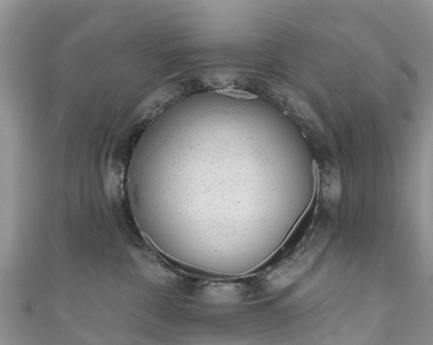 X0000110960332200906261347