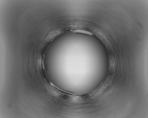 X0000110960333200906261347