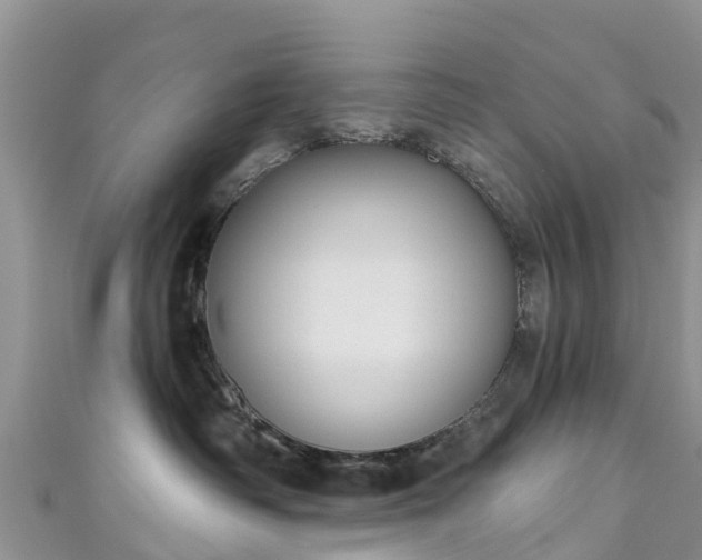 X0000110960334200906261347