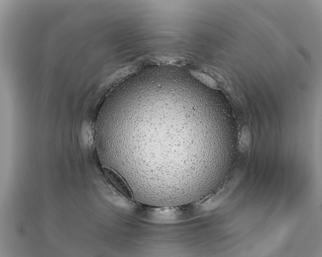 X0000110960335200906261347