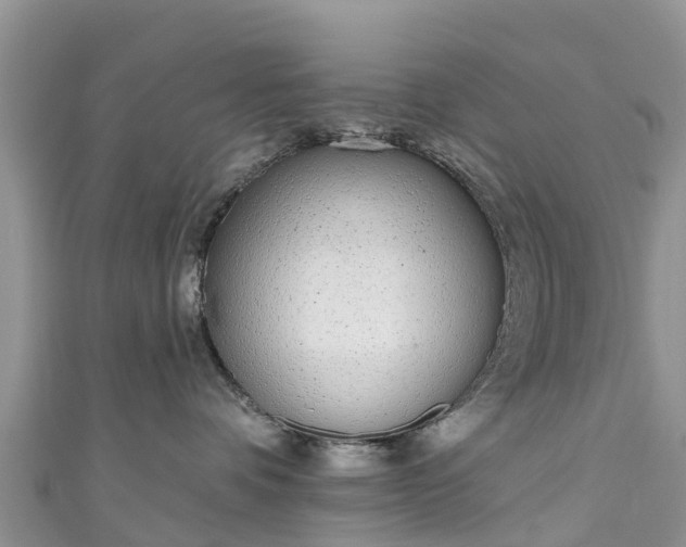 X0000110960336200906261347