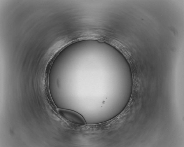 X0000110960338200906261346