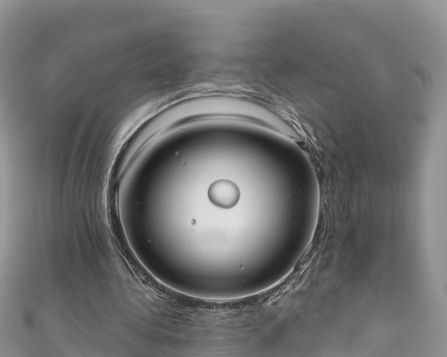 X0000110960340200906261346