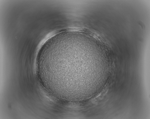 X0000110960343200906261346