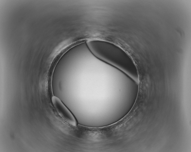 X0000110960344200906261346