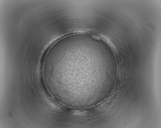 X0000110960346200906261346