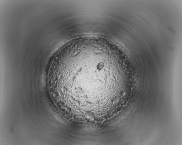 X0000110960347200906261346