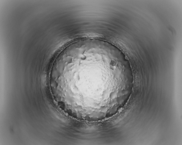 X0000110960351200906261346