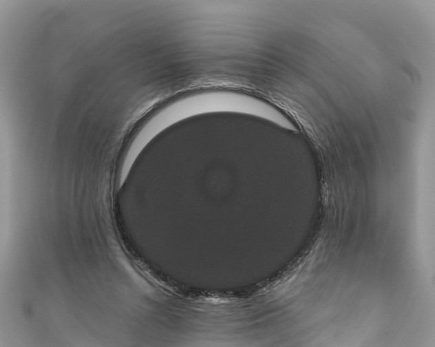 X0000110960352200906261346