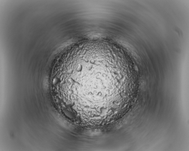 X0000110960353200906261346