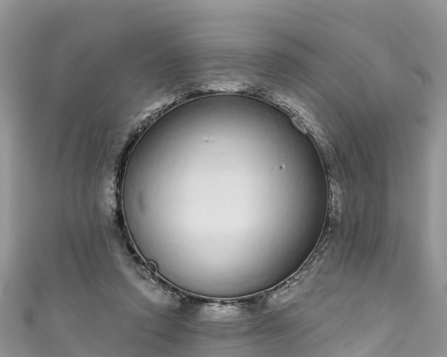 X0000110960354200906261346