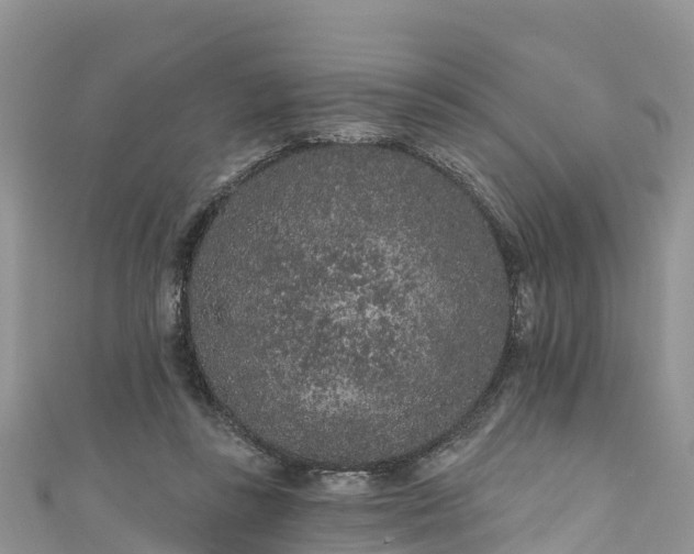 X0000110960355200906261346